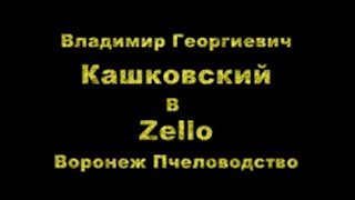 В Г Кашковский встреча с пчеловодами на канале Воронеж Пчеловодство Zello 7 03 2019