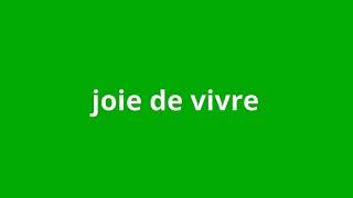 what is the meaning of joie de vivre