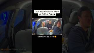 Download Lagu Cold Hands? Grab a Marshmallow! MP3