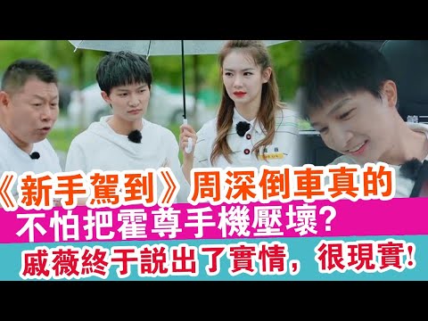 《新手駕到》周深倒車真的不怕把霍尊手機壓壞？戚薇終于說出了實情，很現實!
