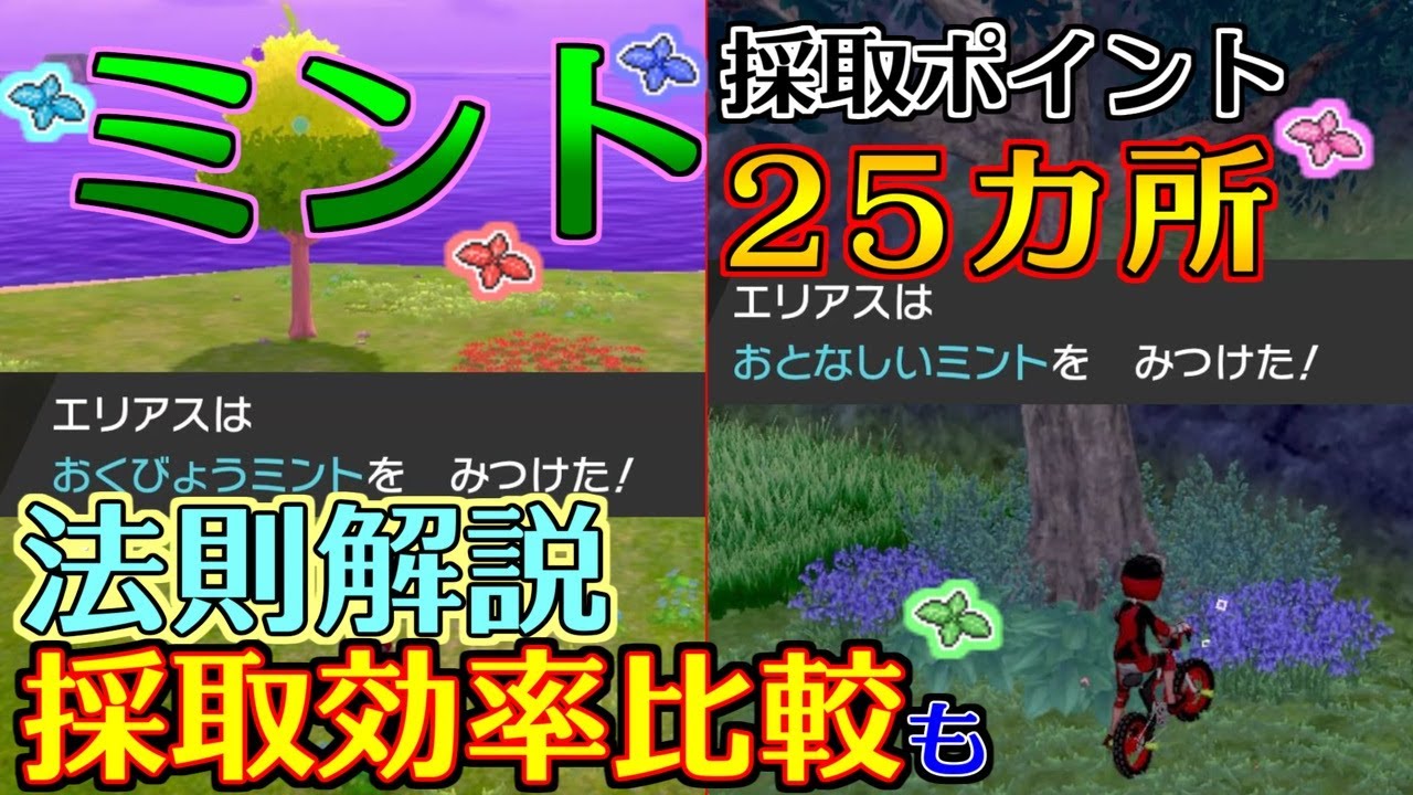 欲しいミントが出る場所が分かる ミントの採取ポイント25カ所 グループ法則 効率について解説 ポケモン剣盾 Youtube