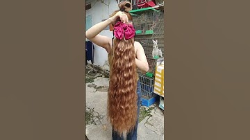 Tóc cột xù mì dài nhất #toccot