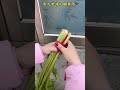 #funny #funnyfamilygames #comedy #funnycomedymovies #newcomedy #automobile #farming #fun #https