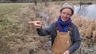 Famous Here is how to make money with stockpiled forage. Wealth