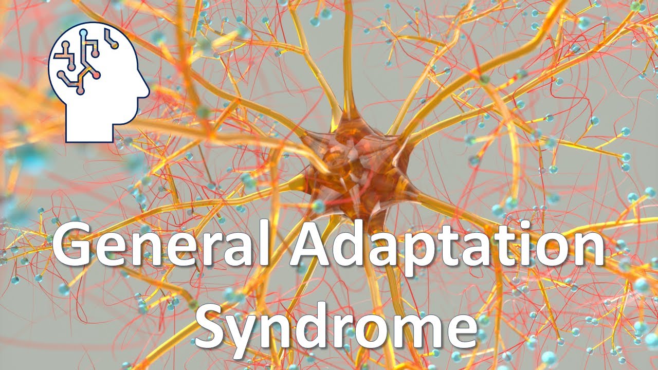 General Adaptation Syndrome