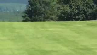 Cole Teeing Off