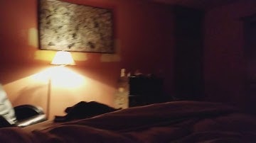 Mycroft controlling lights through the Wink IoT Skill