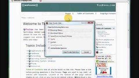 Firefox - Clear Browsing History