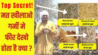 यह भूसों से गर्मी में दूध कम होता है | Dry Fodder Decreases Milk in Summer