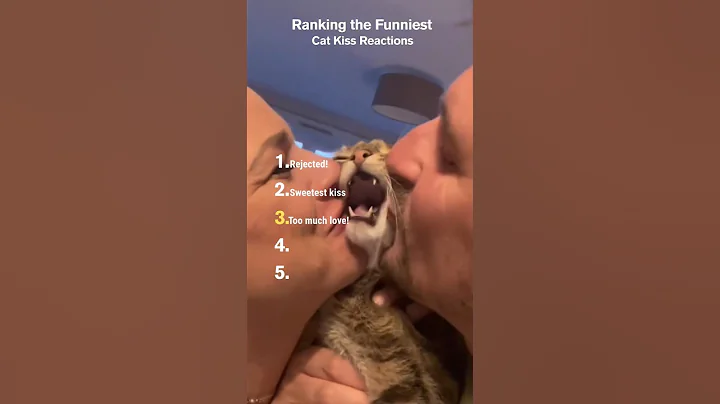 Ranking the Funniest Cat Kiss Reactions 😽😂