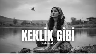 Keklik Gibi Psychedelic Anatolian Rock Cover