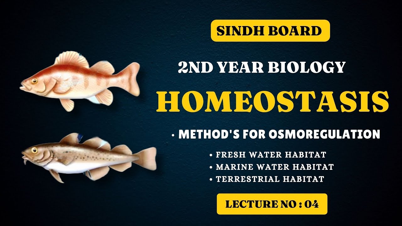 adaptations of osmoregulation | homeostasis | chapter 15 | class 12 biology | Sindh board new book