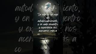 Pensamientos positivos - Frases para reflexionar #shorts #shortsvideo #feedshorts