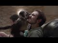 Mountain dew puppy monkey baby  2016 super bowl commercial