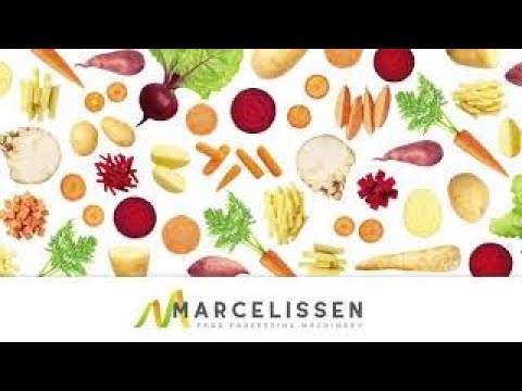 Carrot, Cucumber and