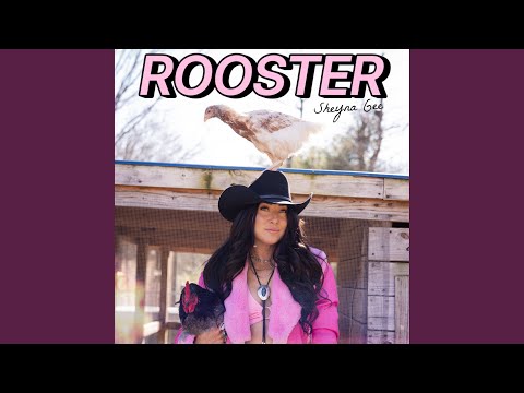 Guarda Rooster su YouTube Guarda Rooster su YouTube