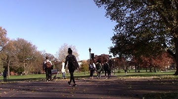 #MomentofOval | The Ohio State University Department of Electrical and Computer Engineering