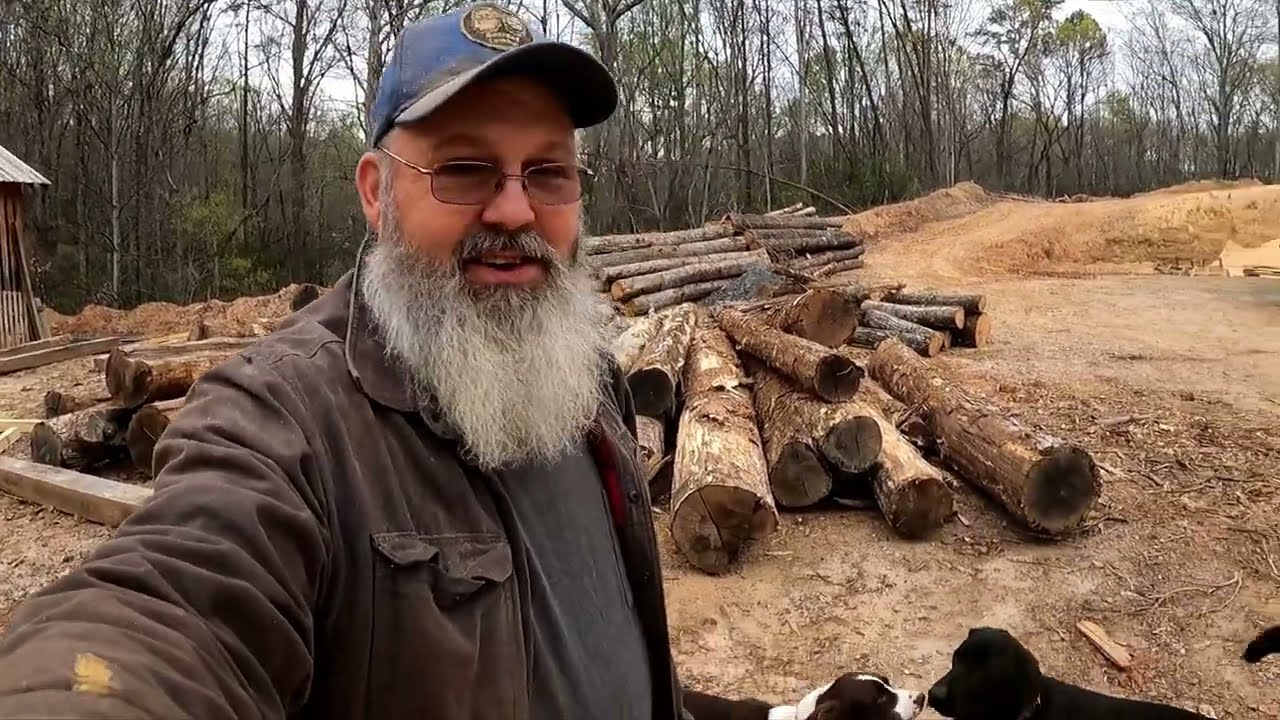 Хороший, плохой, злой! Что происходит с дубовыми брёвнами через год?