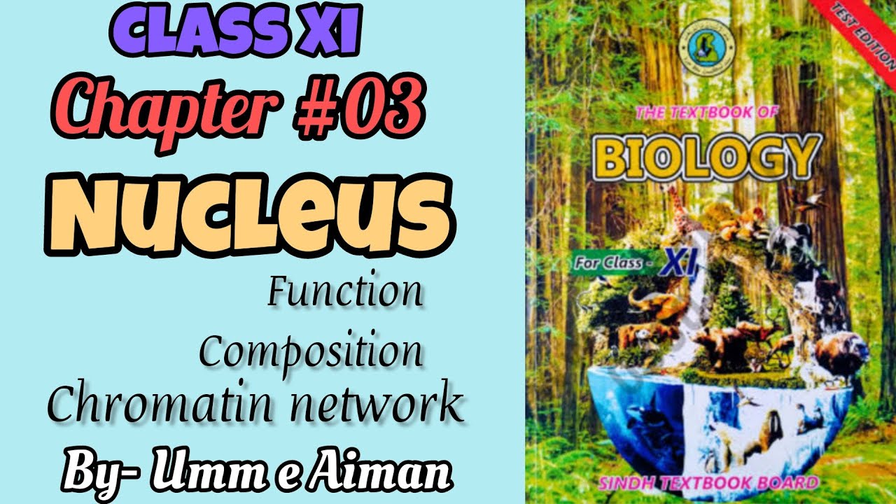 Nucleus -Chapter#03 -Cell structure and function -Sindh board -By Umm e ...