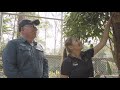 Together, we can safeguard homes for animals