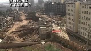 【禁聞】中国 食糧危機はすでに目前？| ニュース | 新唐人|時事報道 | 海外