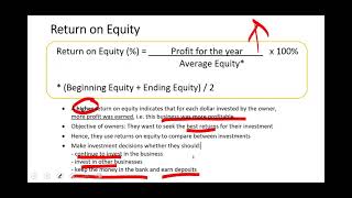 05 Return on Equity (SLS Financial Ratio)