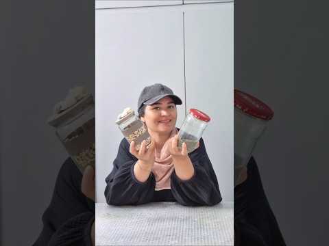 شیشه کنسرو دور ننداز