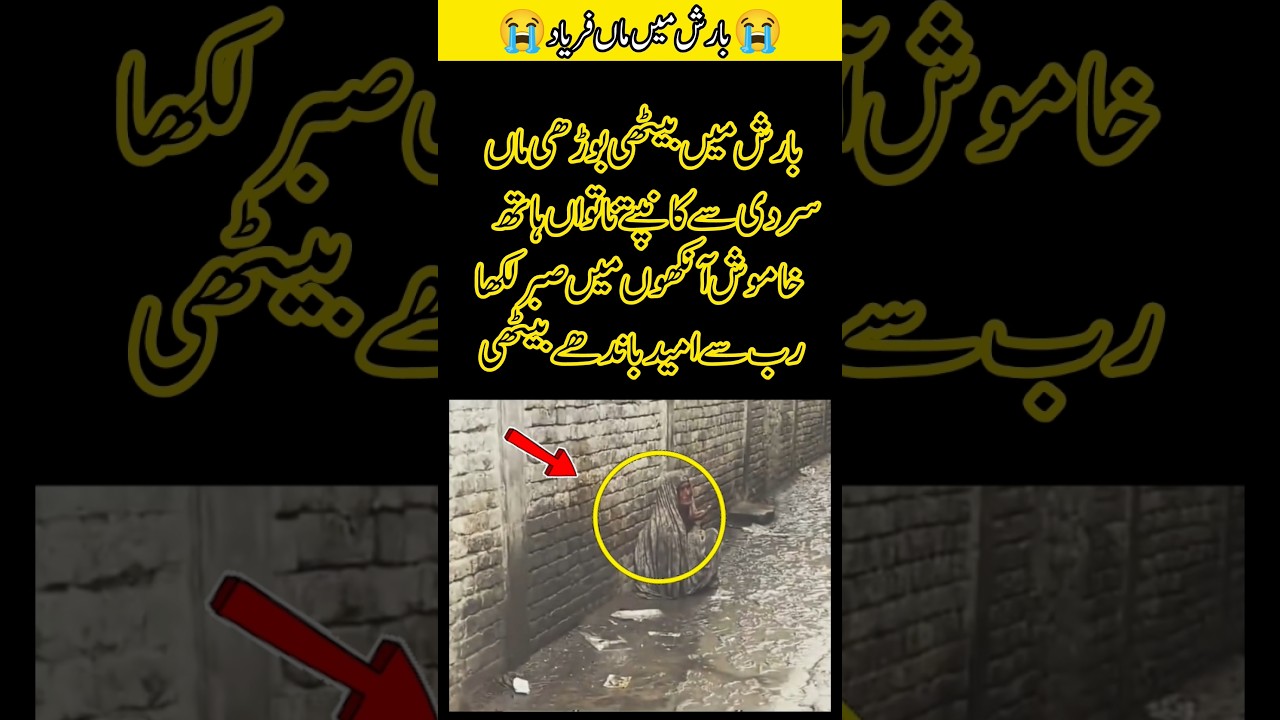 An Elderly Mother Waiting in the Rain 💔 | A Silent Story of Patience and Hope