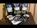 💥Дубовая щепа от бондарни Allary💥