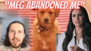 Reacting To Meghan's "ABANDONED rescue dog" Promo Video