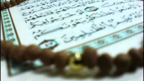 سورة الزمر  برواية البزي عن ابن كثير / محمد العبدالله