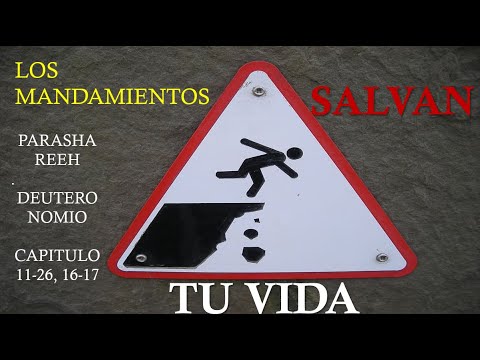 Parasha Reeh Devarim Deuteronomio - YouTube