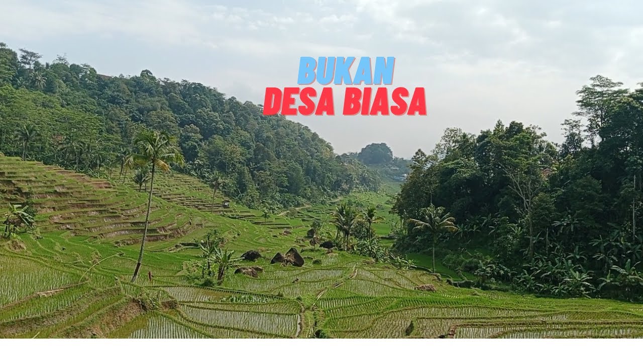 Kehidupan Sederhana yang Kaya Sawah Ternah dan Perikanan Desa