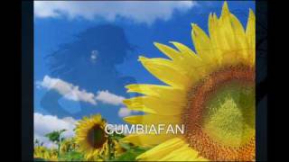 LOS GIRASOLES, CHICA ENAMORADA chords