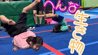 アザラシをやってみたら怪物が出来た