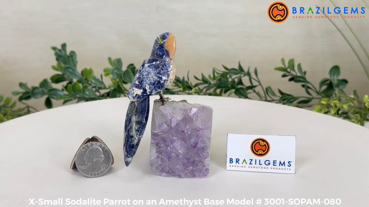 Model # 3001-SOPAM-080 Hand-Carved Sodalite Parrot on an Amethyst Base by BrazilGems.com 🏷 FOR SALE