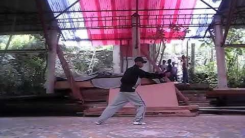 Bagua Zhang style gao yi sheng houtian line 2