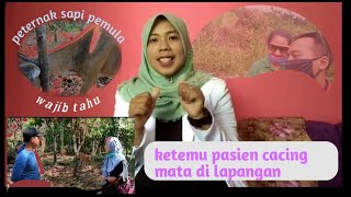 Ketemu pasien cacing mata di lapangan / sobat tani & veteriner