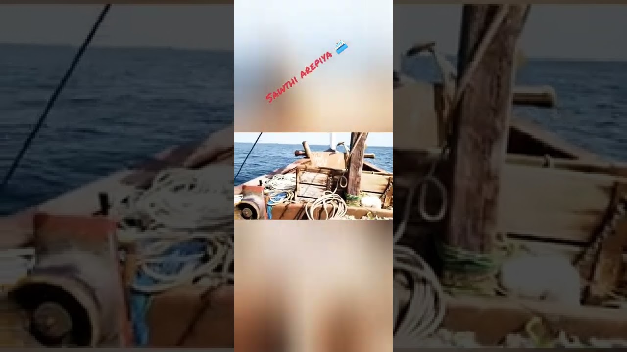 SAUDI AREBIYA🌊 fishing poat 🚤🚤🚤
