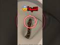 ماذا لو خرج لك ثعبان من المرحاض صدمة 