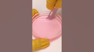 DIY Lipstick Repair💄 Satisfying Makeup Repair ASMR #shorts #asmr #cosmeticrepair #beautyfix