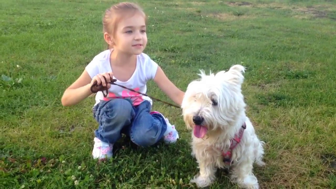 ЛУЧШАЯ СОБАКА ДЛЯ ДЕТЕЙ | Какая порода собак подходит для детей ? | Вест Хайленд - мой лучший друг!