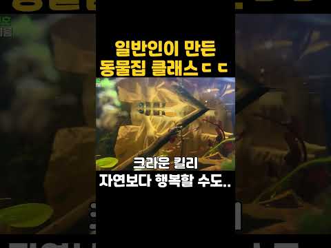 #<strong>비바리움</strong>
