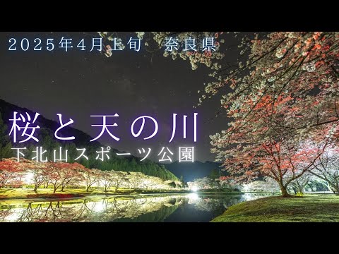 下北山スポーツ公園、満開の桜と満天の星、天の川│リアルタイム星空動画