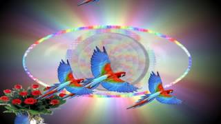 Main Bhi Chup Hoon kumar Sanu U0026 Sadhna Sargam