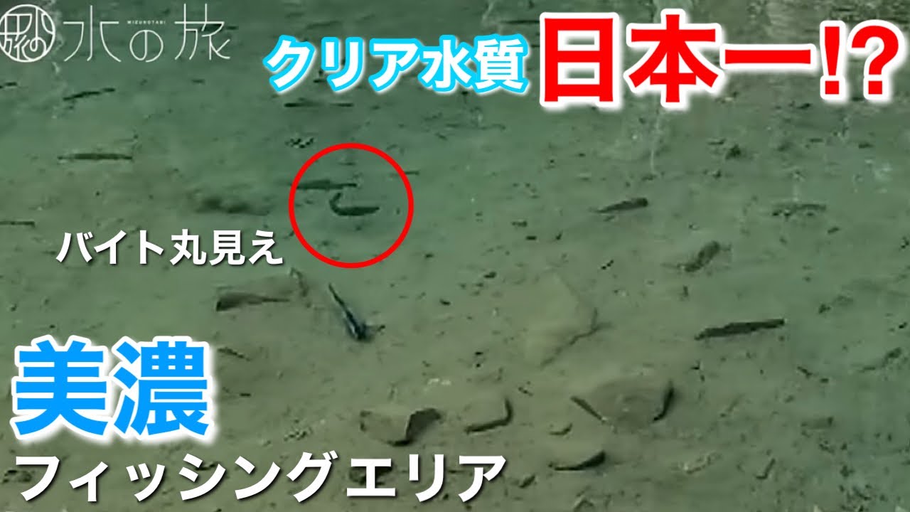 【東海地方エリアトラウト】名古屋から一時間。ボトム最強説の釣り場が…。【水の旅＃ 106】