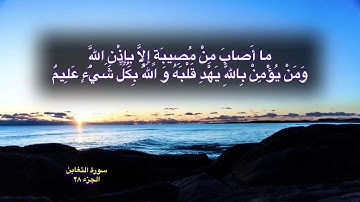 تلاوة خاشعة #رعد_محمد_الكردي من سورة التغابن