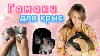 Делаю гамаки крысам из старой одежды 👚 ✂️ 🐀