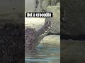 This Isn T What You Think This Isn T What You Think