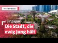 Das Geheimnis des langen Lebens: Warum Singapur die Spitzenreiter bei der Lebenserwartung ist